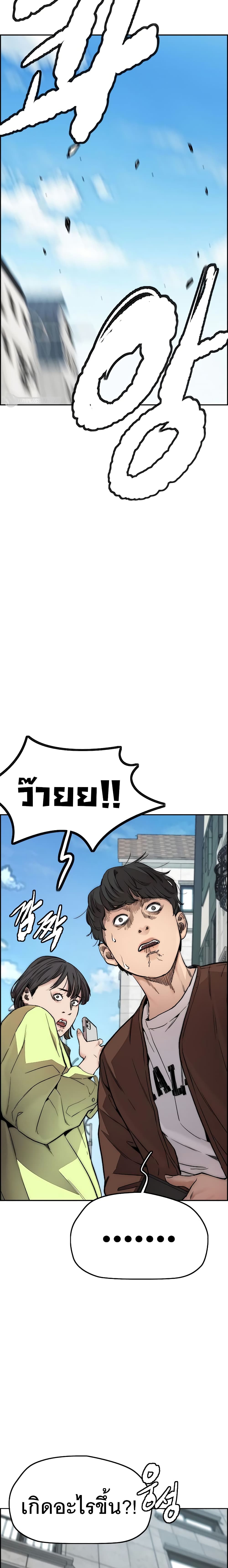 Windbreaker SS4 29 21